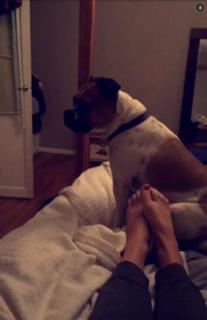 Grace Helbig feet photo thumbnail