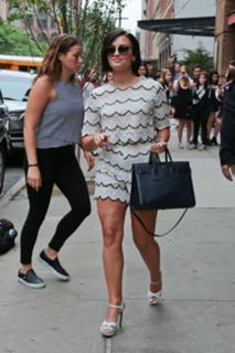 Demi Lovato feet photo thumbnail