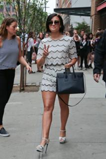 Demi Lovato feet photo thumbnail