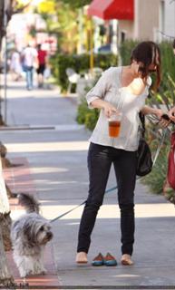 Rachel Bilson feet photo thumbnail