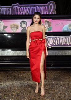 Selena Gomez feet photo thumbnail