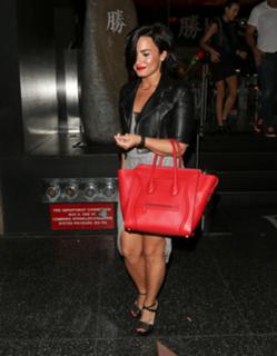 Demi Lovato feet photo thumbnail