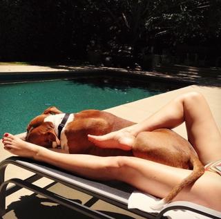 Daisy Fuentes feet photo thumbnail