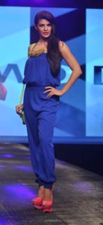 Jacqueline Fernandez feet photo thumbnail