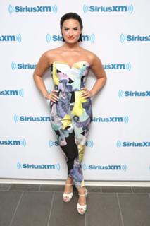 Demi Lovato feet photo thumbnail