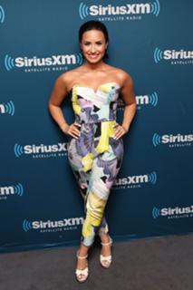 Demi Lovato feet photo thumbnail