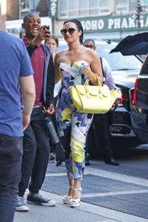 Demi Lovato feet photo thumbnail