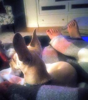 Angela Kinsey feet photo thumbnail