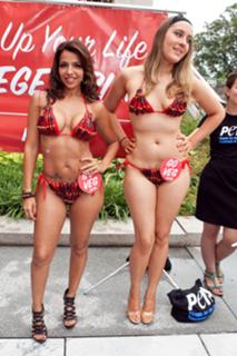 Vida Guerra feet photo thumbnail
