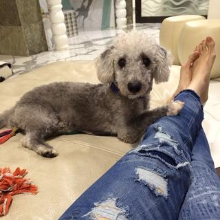 Tamannaah Bhatia feet photo thumbnail