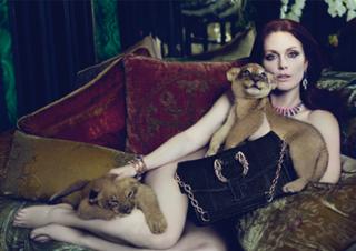 Julianne Moore feet photo thumbnail