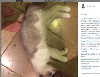 Holly Holm feet photo thumbnail