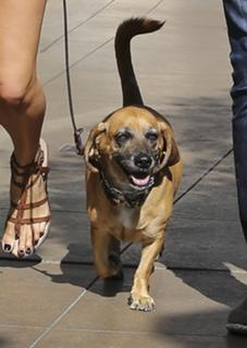 Cat Deeley feet photo thumbnail