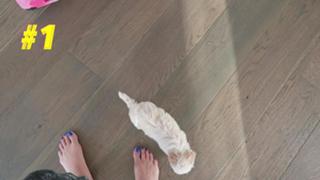 Justine Ezarik feet photo thumbnail