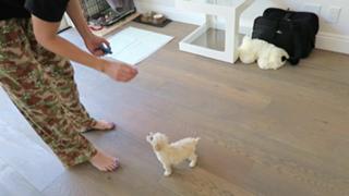 Justine Ezarik feet photo thumbnail