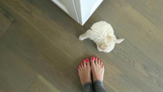 Jenna Ezarik feet photo thumbnail