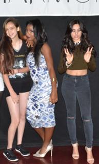Camila Cabello feet photo thumbnail