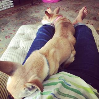 Angela Kinsey feet photo thumbnail