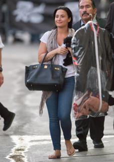 Demi Lovato feet photo thumbnail