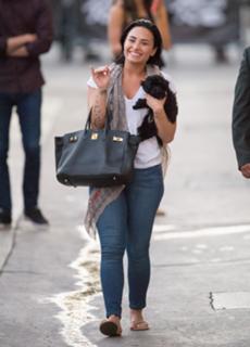 Demi Lovato feet photo thumbnail