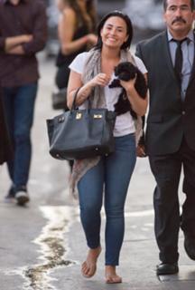 Demi Lovato feet photo thumbnail