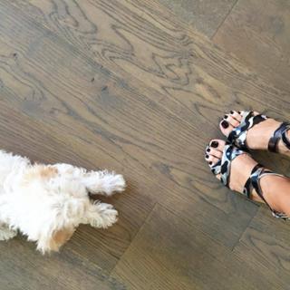 Justine Ezarik feet photo thumbnail