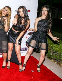 Camila Cabello feet photo thumbnail