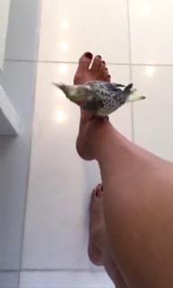 Thalía feet photo thumbnail