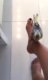 Thalía feet photo thumbnail