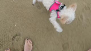 Justine Ezarik feet photo thumbnail