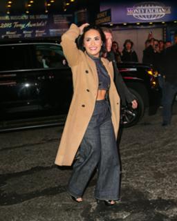 Demi Lovato feet photo thumbnail