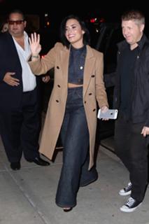 Demi Lovato feet photo thumbnail