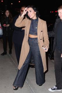 Demi Lovato feet photo thumbnail