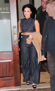 Demi Lovato feet photo thumbnail