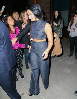 Demi Lovato feet photo thumbnail