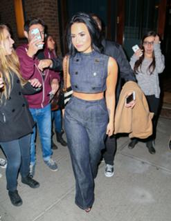 Demi Lovato feet photo thumbnail