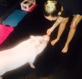 Miley Cyrus feet photo thumbnail