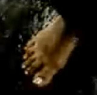 Sonali Bendre feet photo thumbnail