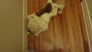 Brittani Taylor feet photo thumbnail