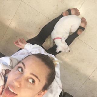 Miley Cyrus feet photo thumbnail