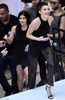 Kendall Jenner feet photo thumbnail