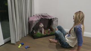Justine Ezarik feet photo thumbnail