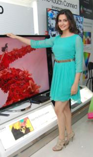 Kriti Kharbanda feet photo thumbnail