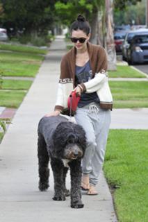 Rachel Bilson feet photo thumbnail