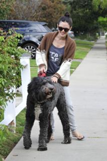 Rachel Bilson feet photo thumbnail
