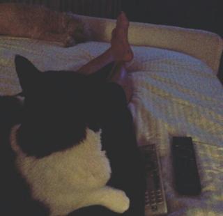 Mandy Moore feet photo thumbnail