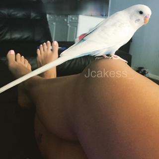 Jenelle Jcakess feet photo thumbnail