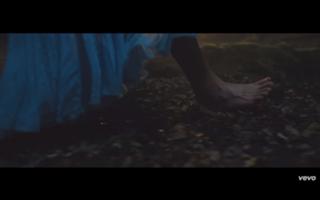 Taylor Swift feet photo thumbnail