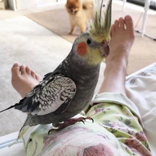 Thalía feet photo thumbnail