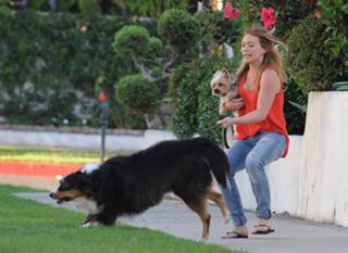 Hilary Duff feet photo thumbnail